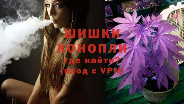 ПСИЛОЦИБИНОВЫЕ ГРИБЫ Краснослободск