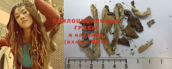 прущие крисы Белоозёрский