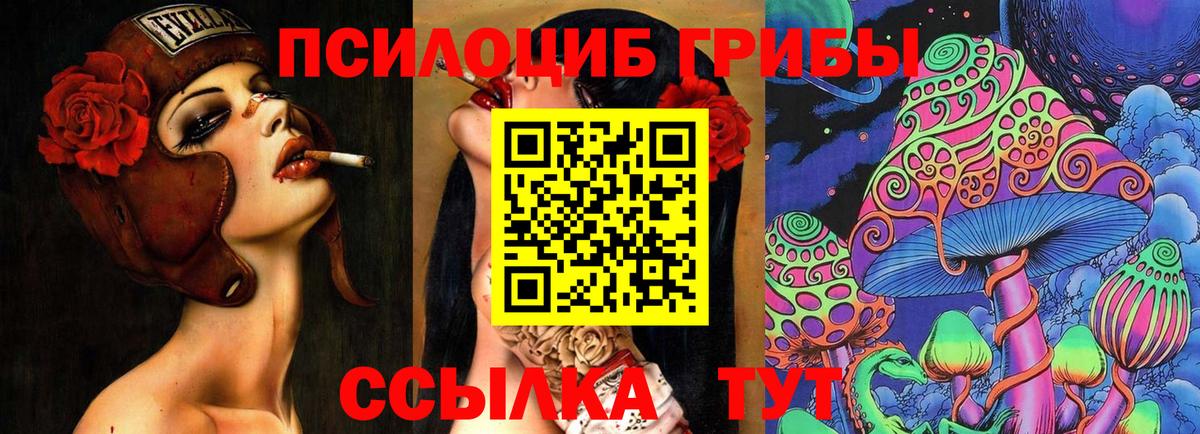Галлюциногенные грибы Magic Shrooms Сланцы