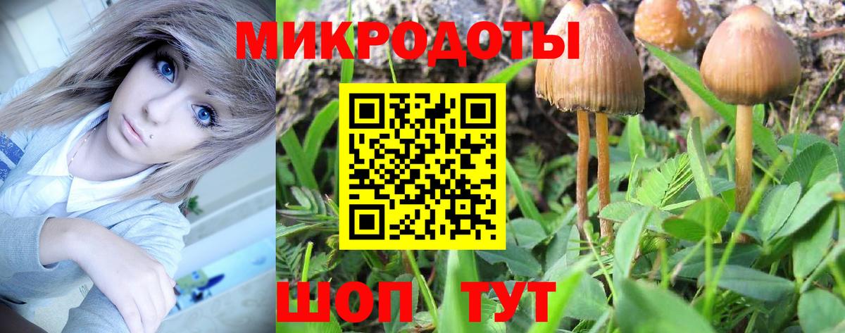 Галлюциногенные грибы ЛСД  Вход с VPN  Сланцы 
