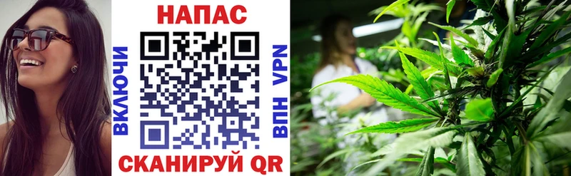 Бошки Шишки SATIVA & INDICA Сланцы